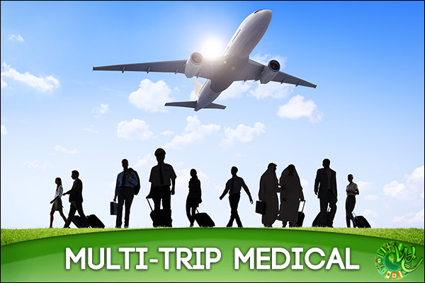 multi trip health insurance