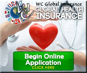 Global Health Insurance Questionnaire